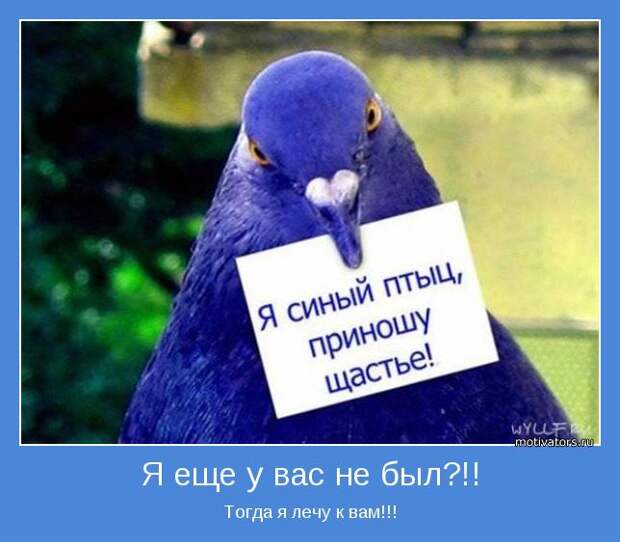 Тогда я лечу к вам!!!