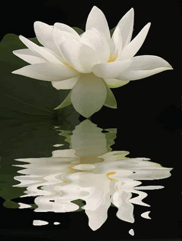 http://www.stihi.ru/pics/2012/10/21/2682.jpg