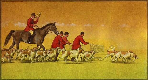 В погоне за лучшим. Автор: Pawel Kuczynski. В погоне за лучшим. Автор: Pawel Kuczynski.