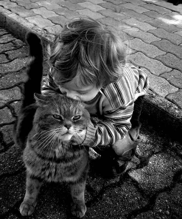 Очаровательный снимок девочки, целующей кота.