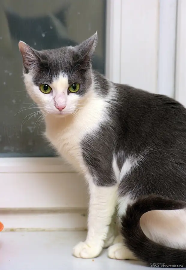 Подарите малышке счастье и дом!