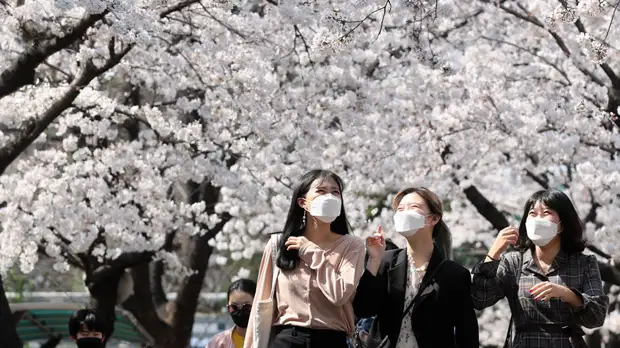 В Южной Корее число выздоровевших от коронавируса достигло 5228