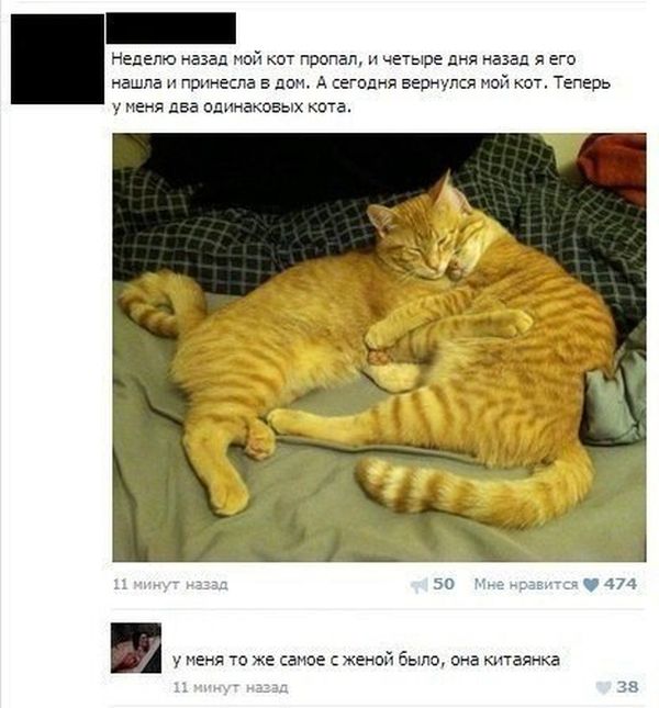 Смешные картинки с подписями  юмор, картинки, прикол
