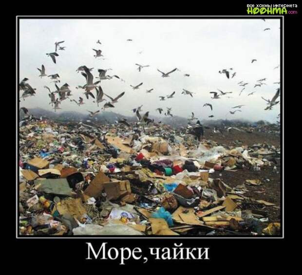 Демотиваторы. Выпуск 108