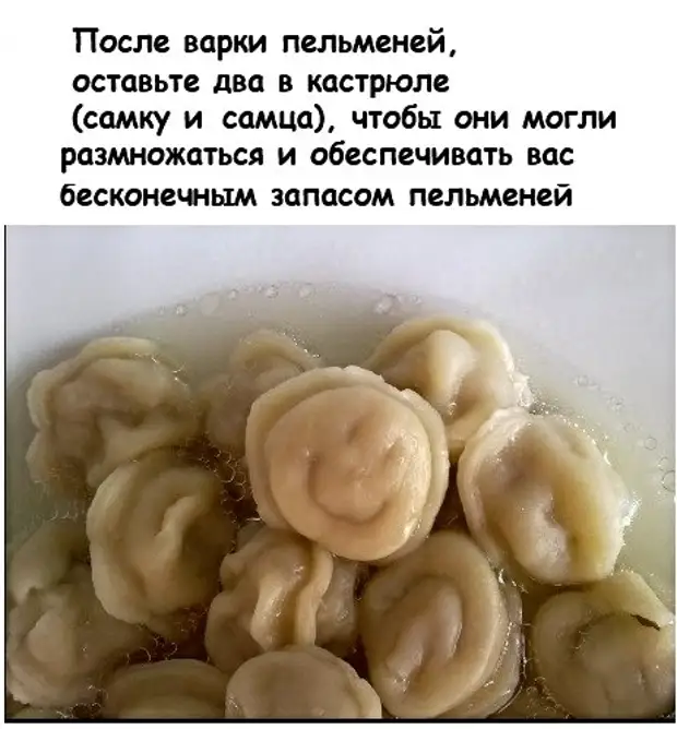 Вареники смешные картинки