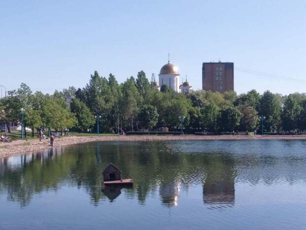 Общественная приемная откроется у пруда на Инженерной Фото: Юлия Мартынова
