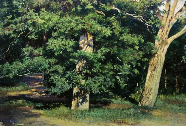 https://svistanet.com/wp-content/uploads/2015/09/xudozhnik_ivan_Shishkin_1_09.jpg