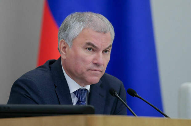 Володин: Доктор Лиза ради спасения людей рисковала собственной жизнью