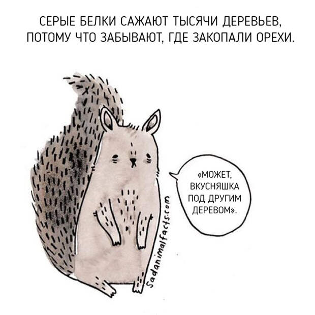 Неожиданная правда о животных от Брук Баркер