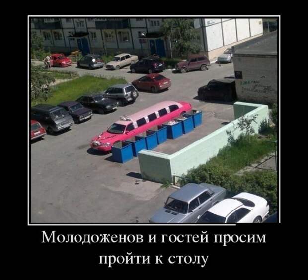 Демотиваторы (30 фото)