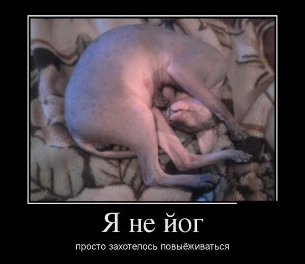 Где демотиваторы - там позитив!