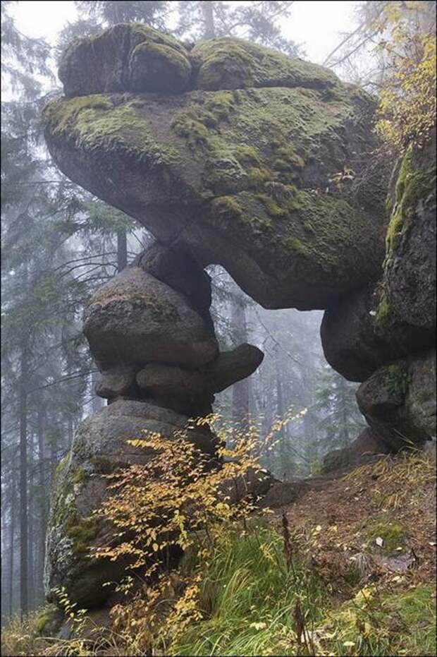 Красота Сибири (44 фото) Красота Сибири (44 фото)