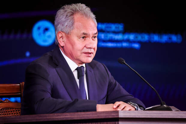 Раскрыта причина отставки бывшего помощника Шойгу