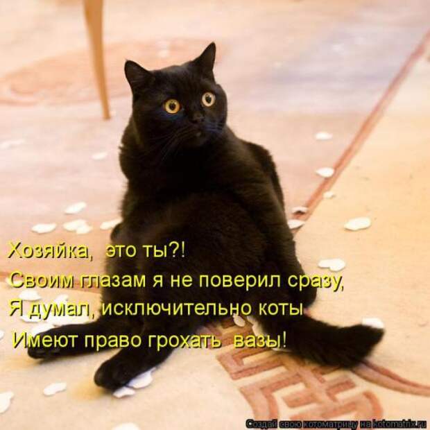 Котоматрицы(картинки с надписями)