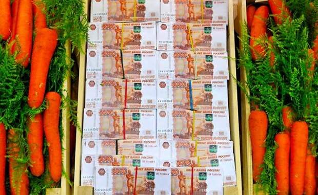 Пенсия — миллион и выше: Куда пойти учиться, чтобы к старости озолотиться