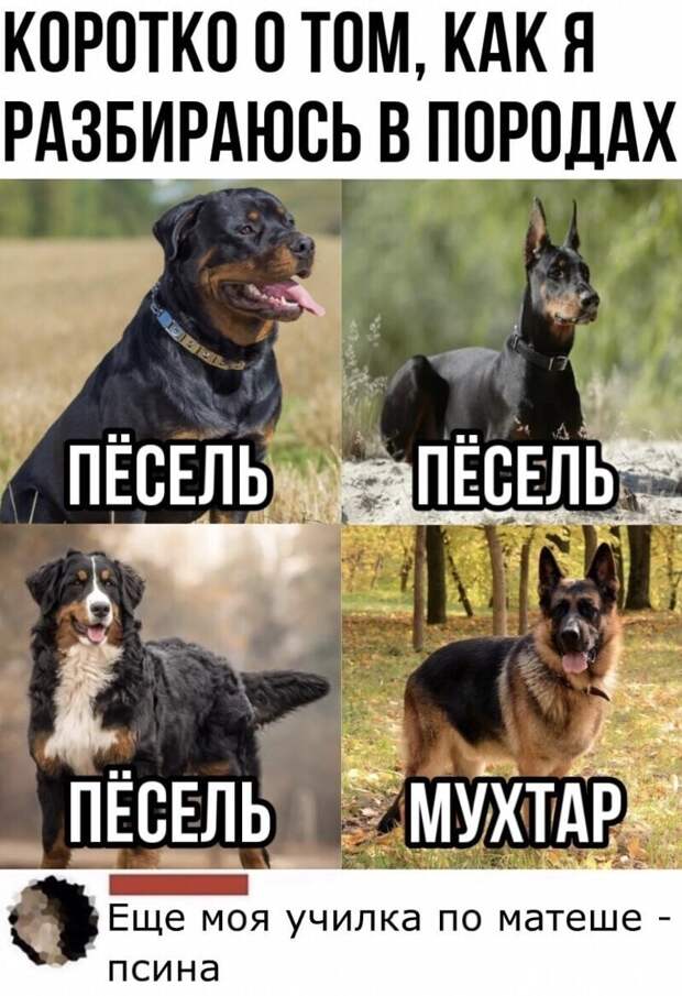 Когда математика не нравится Когда математика не нравится