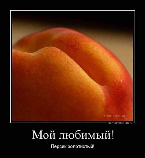 Демотиваторы о женской логике!