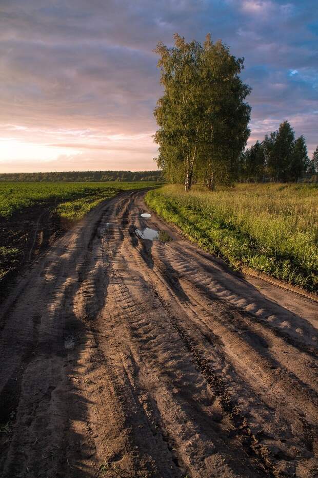 Деревенскими дорогами ... Дорога, Деревня, Природа, Трава, Лето, Фотография, Длиннопост