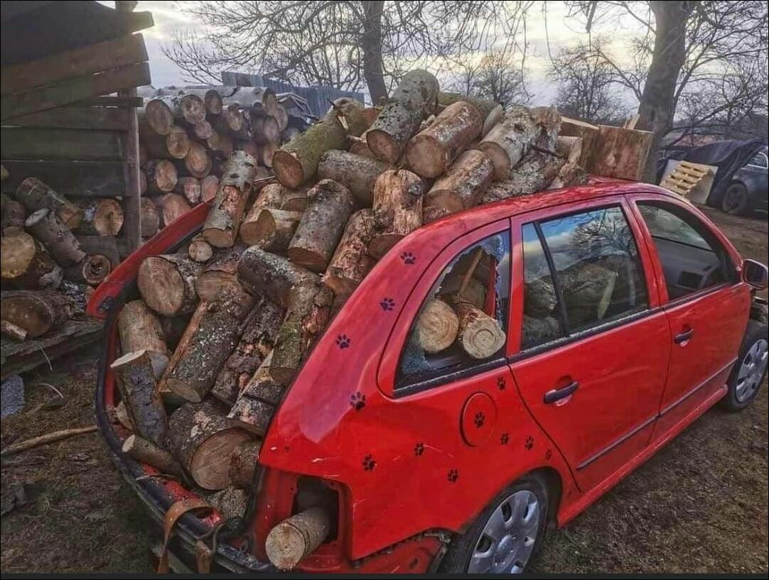 фото приколы