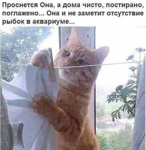 Баянисто-небаянистый юмор