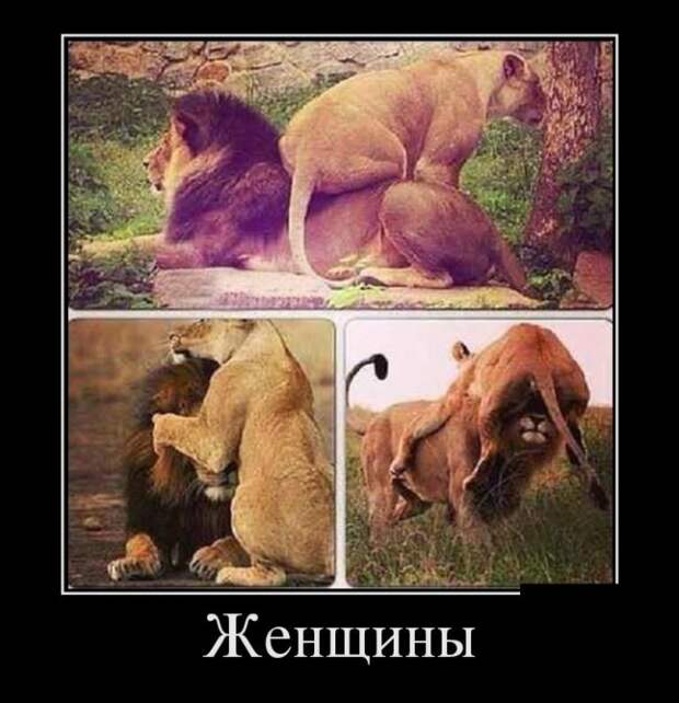 Демотиваторы (30 фото)