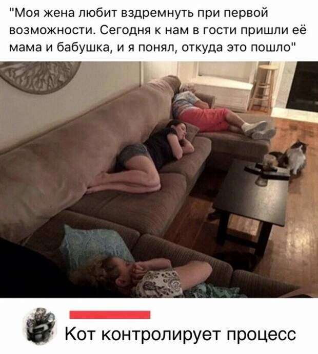 Одиночество в сети