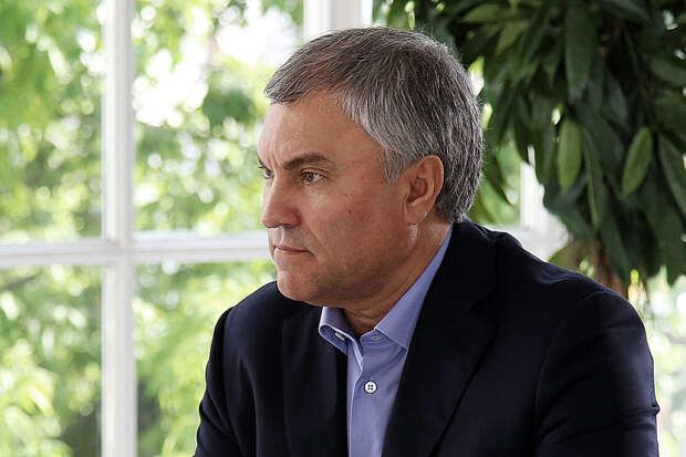 Володин призвал россиян избегать использования иностранных слов