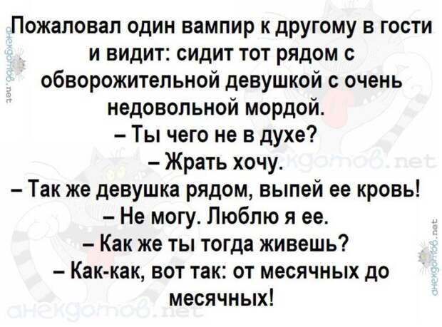 Анекдоты - лучшее от "анекдотовнет" Анекдоты - лучшее от "анекдотовнет"