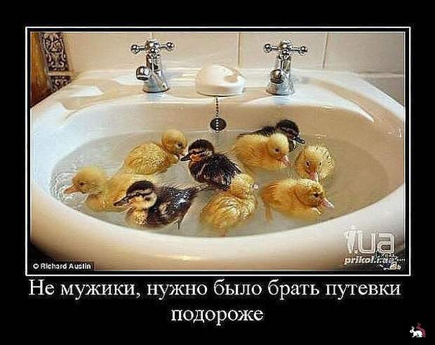 Блоги. Понедельник - день тяжелый