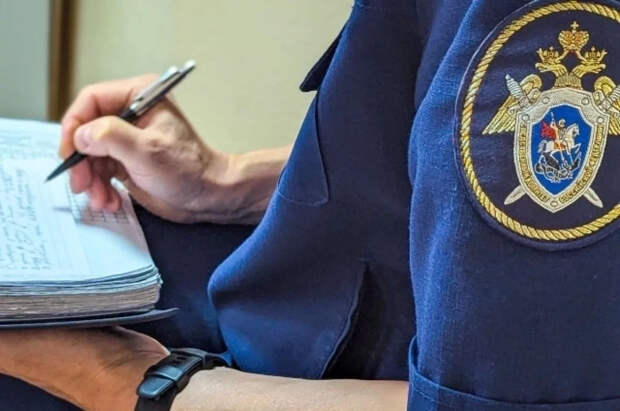 СК направил в ФРГ запрос на эсэсовца по делу о расстрелах мирных жителей