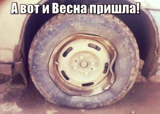 2. 2. авто, автоприколы, приколы