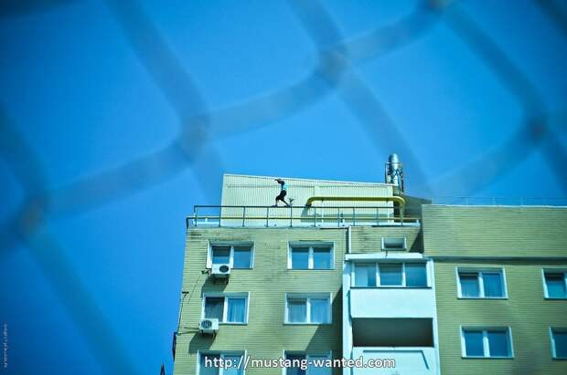 Mustang Wanted в Москве и не только MustangWanted36 Mustang Wanted в Москве и не только