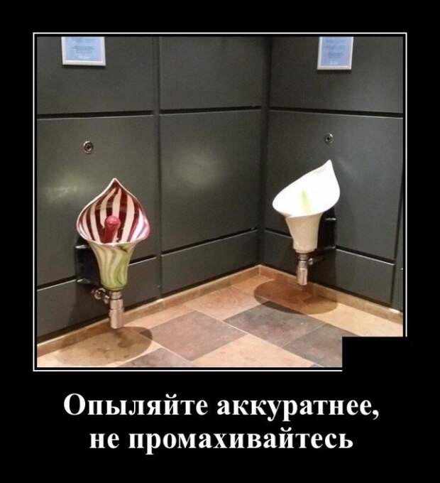 www.vsyako.net