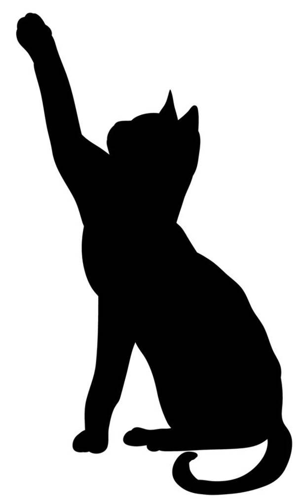 Сколько нас любителей кошек? Миллион, два, десять?-9