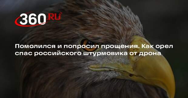 Священник Черненко: в зоне СВО орел уничтожил дрон ВСУ и спас российского бойца