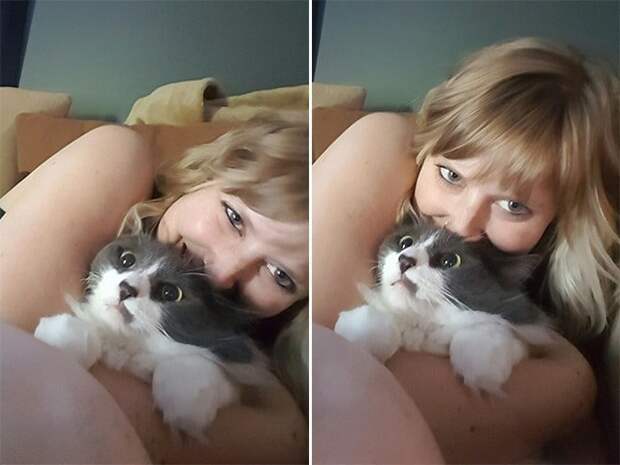 Еще один кадр, говорила она… 15 котов которые терпеть не могут целоваться обниматься, без кота и жизнь не та, коты и кошки, приколы, приколы с котами, смешные коты и кошки, юмор