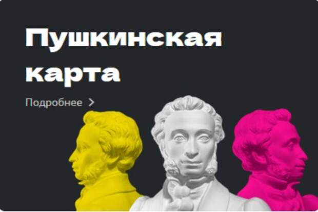 Двадцать девять млн с помощью «Пушкинской карты» украли трое жителей Новосибирска