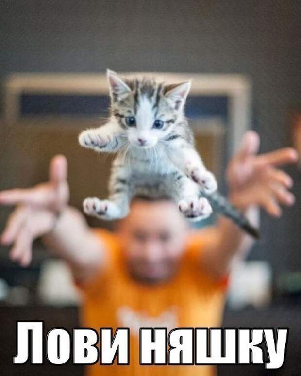 Всяко - разно 19 ))) Всяко - разно 19 )))