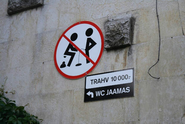 Забавная парочка.