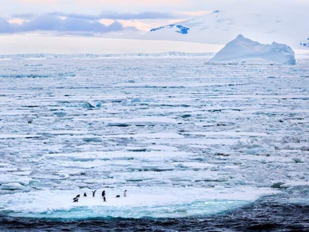 Почему нельзя купаться в самом чистом море на планете