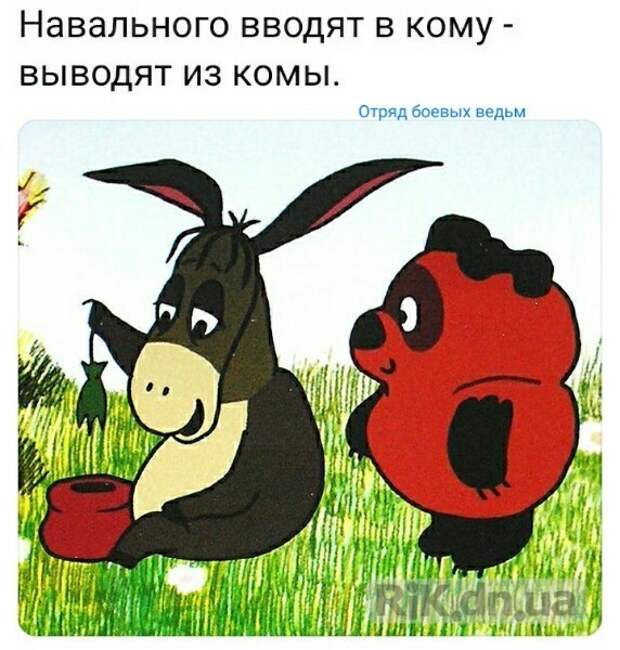 Политические картинки