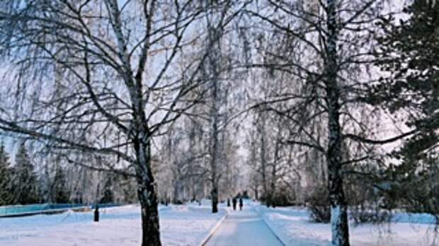 Барнаул зимой / Фото: amic.ru