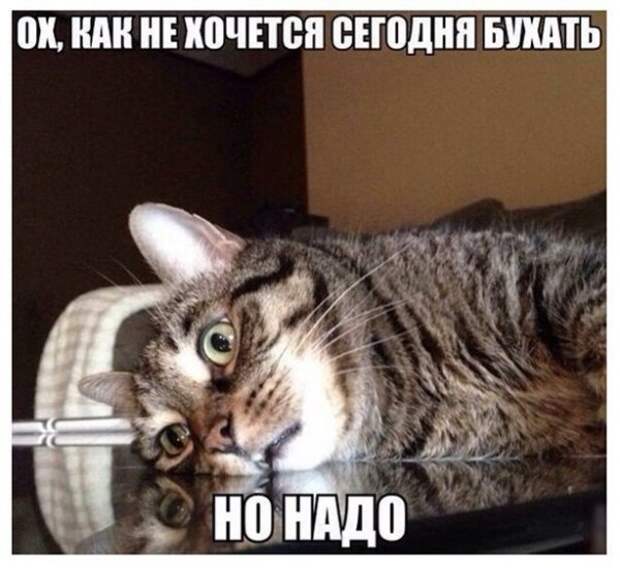 Пятничный алкогольный юмор