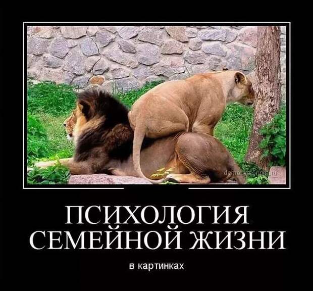 Прикольные демотиваторы с надписями. Подборка chert-poberi-dem-chert-poberi-dem-23340324052020-14 картинка chert-poberi-dem-23340324052020-14