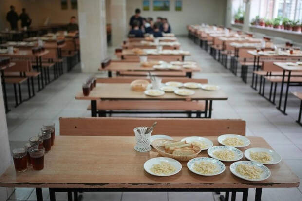 Вспышка кишечной инфекции в петербургской школе: 96 человек, включая 84 ребёнка