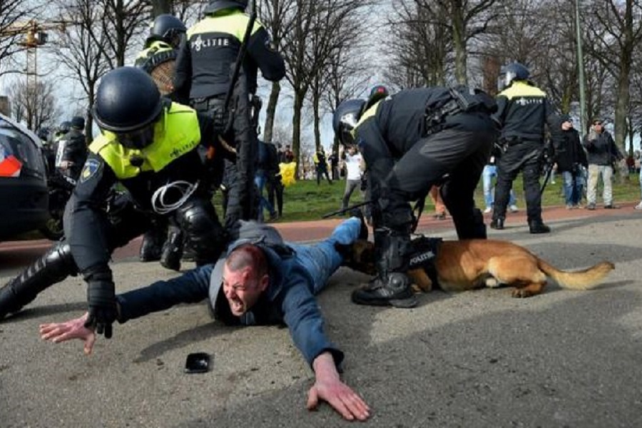 Полиция Гааги спустила на протестующих собак