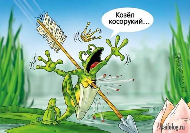 Веселые картинки (60 картинок)