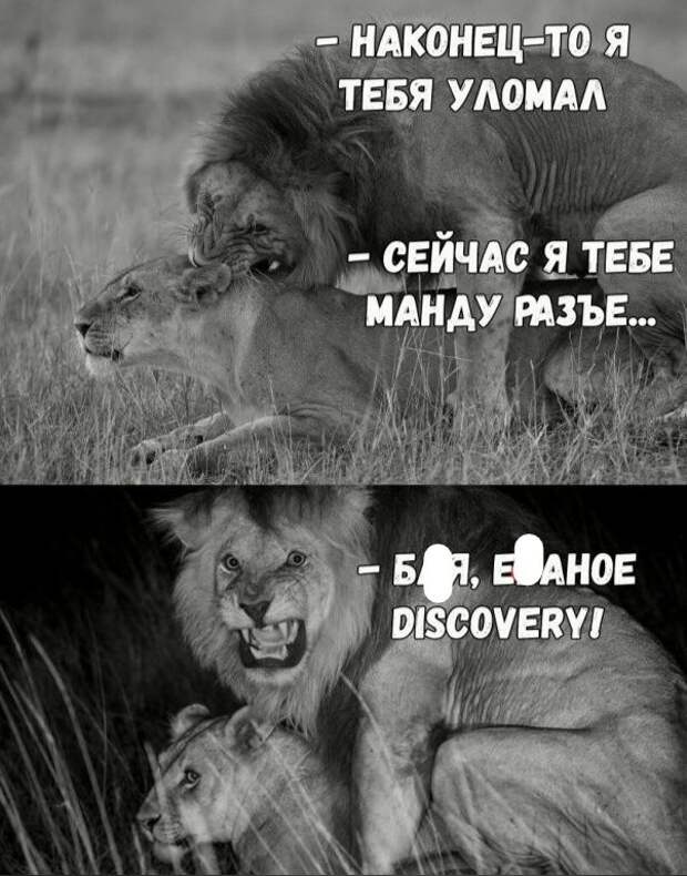 Юмор и психология