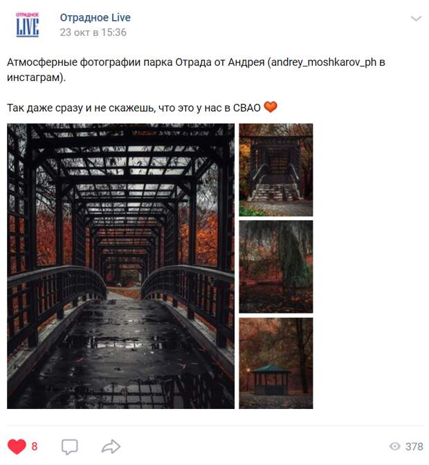 Осенняя атмосфера парка Отрада впечатлила фотографа