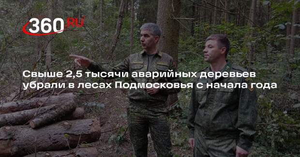 Свыше 2,5 тысячи аварийных деревьев убрали в лесах Подмосковья с начала года